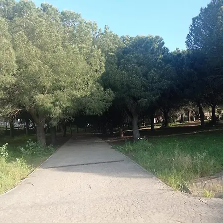 Crucero 1, La Jara *